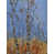 Wrapped Canvas selected