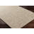 Wiltz Solid Color Flatweave Wool Area Rug in Beige/Black/Brown-772890711