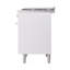 ILVE Professional Plus II 40 in Dual Fuel Range-1245394965-1245394966