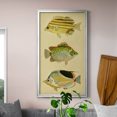 " Trio Of Tropical Fish I " Painting Print