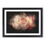 Pink Tipped Roses - Picture Frame Graphic Art Print-56861263-56861268
