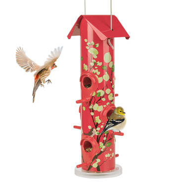 Birds Choice Hanging Seed Cylinder Bird Feeder