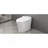 Smart Toilet With Built-In Heated Seat, One Piece Elongated Modern Toilet With Adjustable Temp Heated Seat, Auto Flush,  Dual Flush Toilet 1/1.28 GPF, Foot Sensor Flush, White Night Light,Knob Control