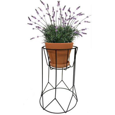Metal Plant Stand