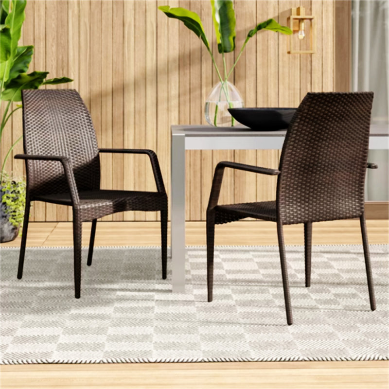 Chaises d'extérieur en osier (excluant la table)