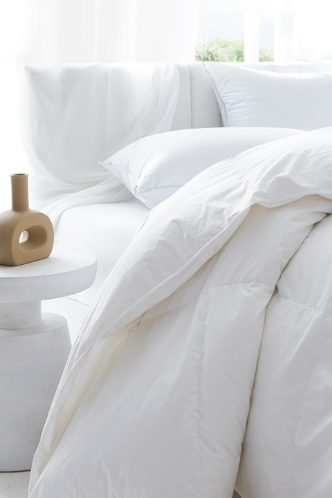 Shop DOWNLITE Comforters