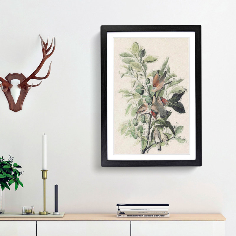 Ground Doves by John Audubon - Picture Frame Painting Print, 36cm H x 27cm W x 2cm D, Black Framed