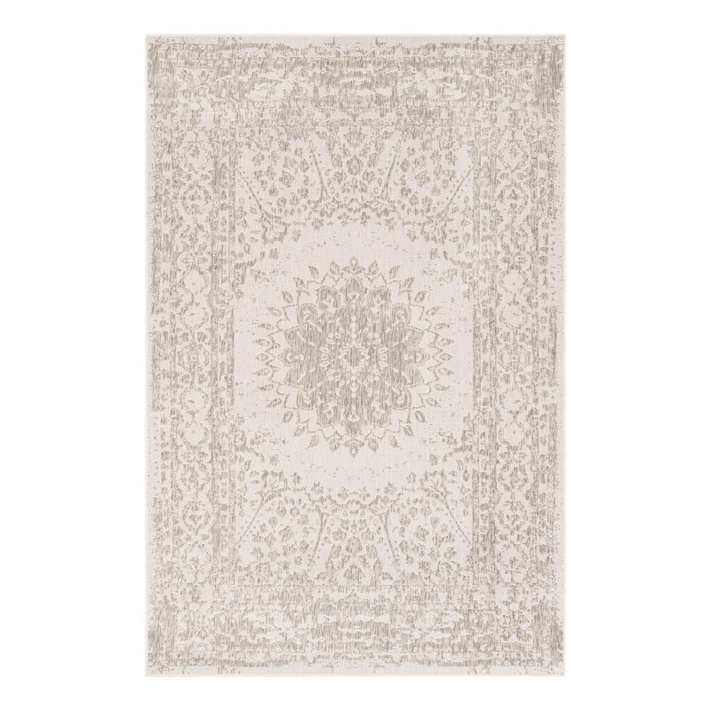 Ornate Lamotte Indoor/Outdoor Area Rug, Rectangle 5'3" x 8'