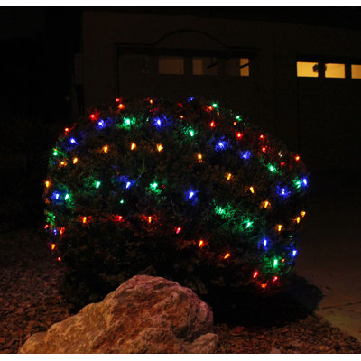 Net Lights