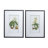 " Botanical " 2 - Pieces