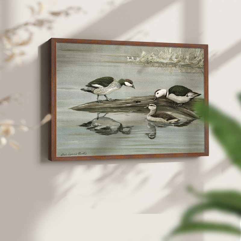 Faune rétro-11 - Reproduction encadrée - Restickable, H 22 po x l 28 po, Noyer