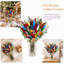 Bouquet de fleurs séchées - arrangement coloré de fleurs sauvages de style bohème pour la décoration intérieure