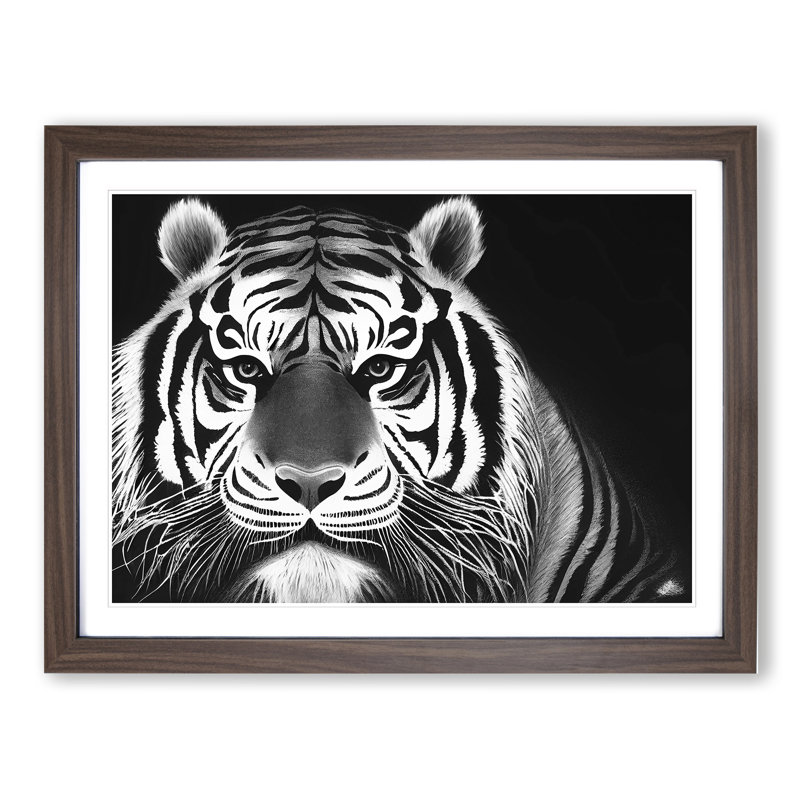Tiger - Framed Print, 46cm H x 64cm W, Walnut Framed