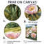 Pivoines dans la montagne Meadows - pivoines, art mural-670811033-670811008-670811014