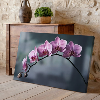 Toile une composition en gros plan d'élégantes orchidées roses présentant des pétales délicats avec des textures douces et veloutées et des toiles murales complexes