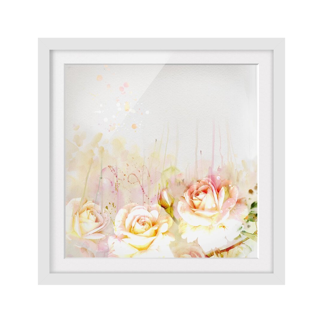 Gerahmtes Wandbild Rose blüht Aquarell