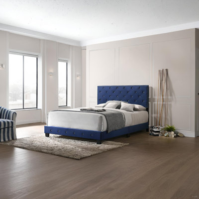 Noble Navy Queen Bed With Transitional Flair