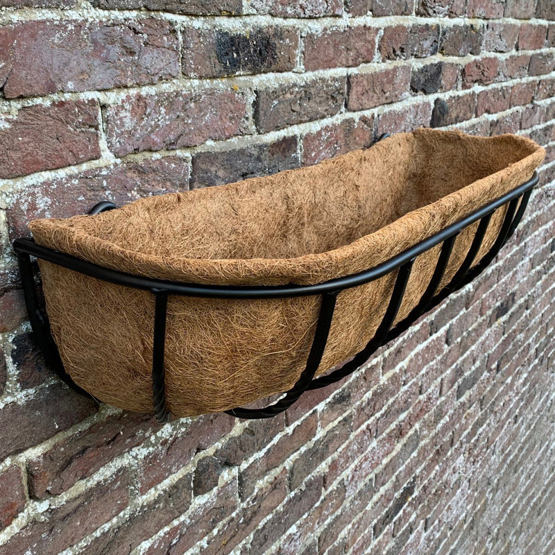Alameen Metal Wall Planter, 20cm H x 90cm W x 20cm D