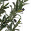 210cm Faux Olive Tree Tree in Freestanding-1777582852