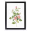 Sweet Briar Roses in Pink by Pierre-Joseph Redoute - Picture Frame Art Prints-55616747-55616745