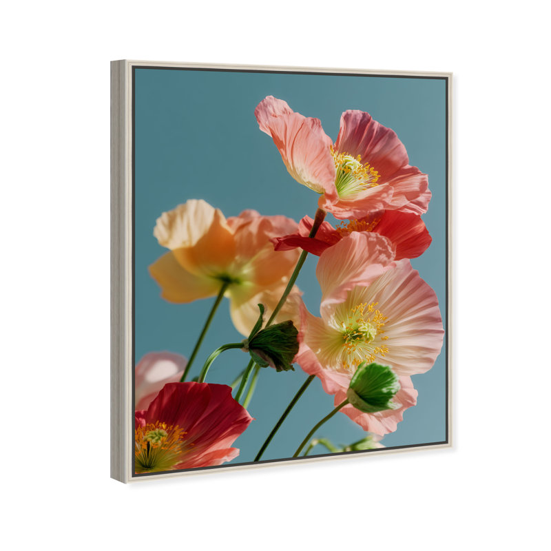 Poppy Bloom III Print by Oliver Gal, 21" H x 17" W, Silver Floater Frame
