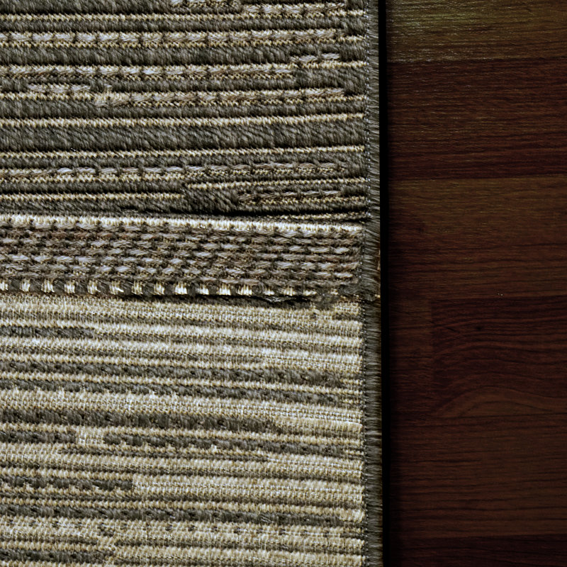 Franzen Indoor / Outdoor Rug, Rectangle 3'11" x 5'7"