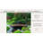 Artisan Japanese Wood Garden Bridge-14662215