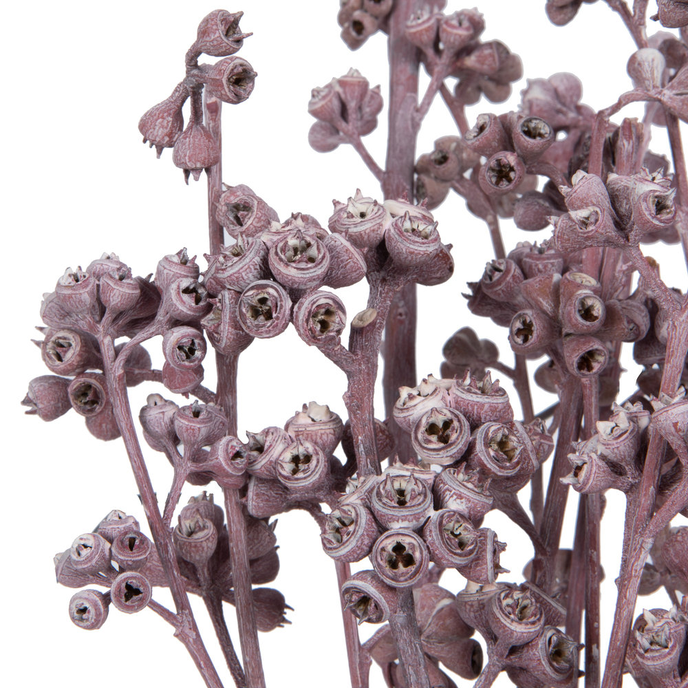 13'' Branch, Erika Pink