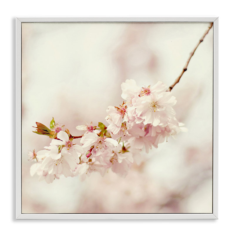 «Delicate Cherry Blossom», estampe numérique encadrée par Sarah Gardner, Estampe numérique encadrée blanc bord de mer