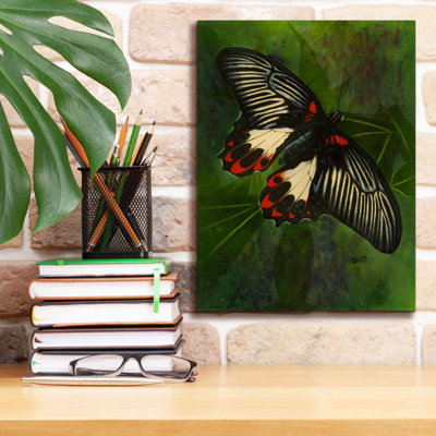 «Simplicity» par Barbara Keith - reproduction d'art sur toile tendue