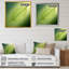 «Lime Lightness Leafy Minimalisme I - Feuilles», impressions sur toile-523928600-523928601