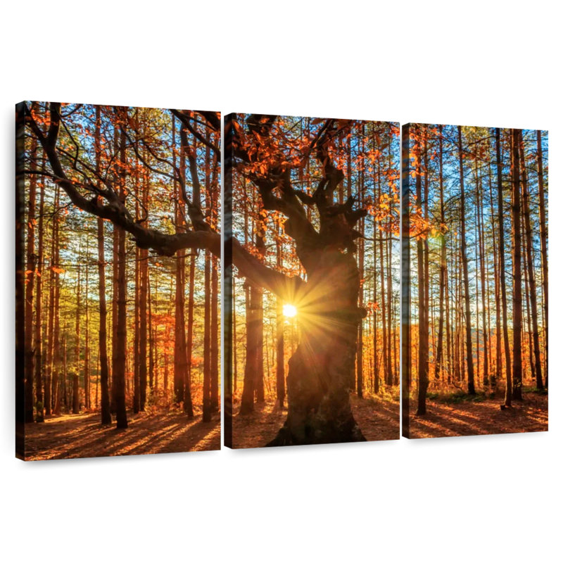 Alvord Rhodope Mountain Forest, 28" H x 45" W