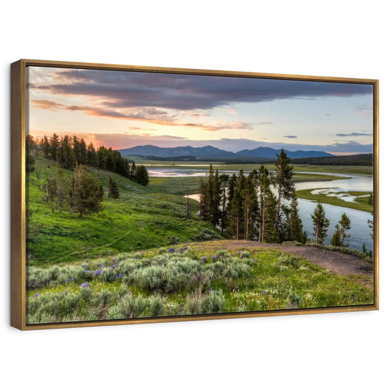 Hayden Valley Hills, Cadre flottant doré, 31 po x 21 po