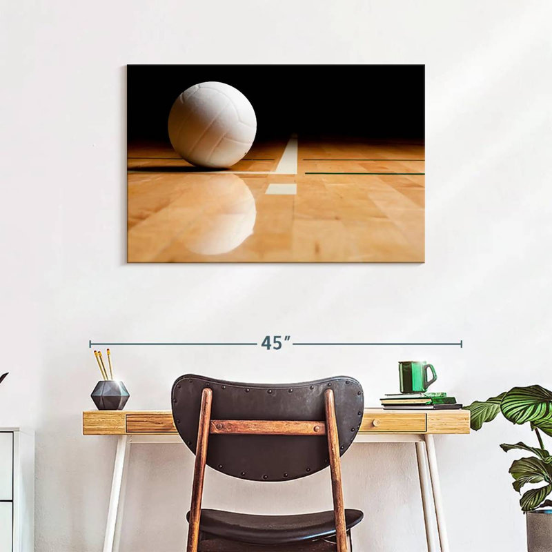 Sireci White Volleyball Reflection, 24" H x 36" W