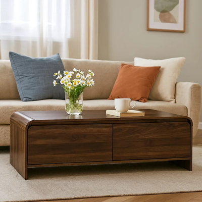 Table basse Maria, 2 tiroirs et cascade, en bois, 47 po