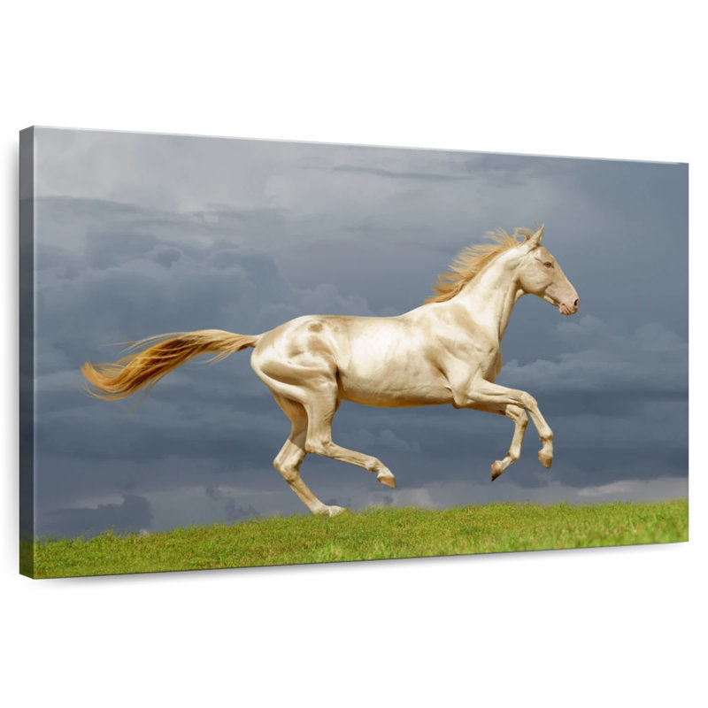 Brampt Gorgeous Akhal Teke Horse, 30" H x 45" W
