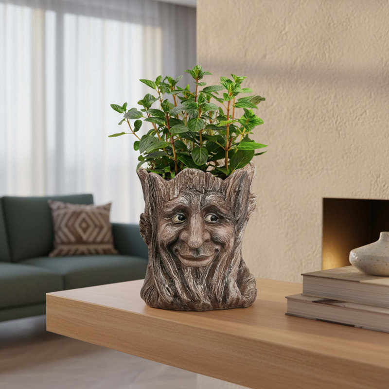 Pot à fleurs en céramique avec trou de drainage Face