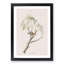 Chipping Sparrow Bird by John Audubon - Picture Frame Painting Print-55545974-55545973