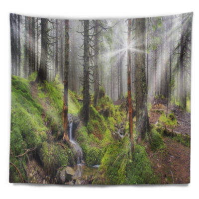 Landscape Polyester Tapestry