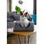 Polyester Igloo Style Dog House