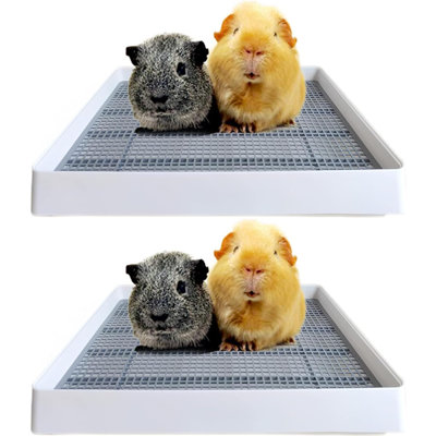 Tucker Murphy Pet™ Rabbit Large Litter Box, Guinea Pig Training