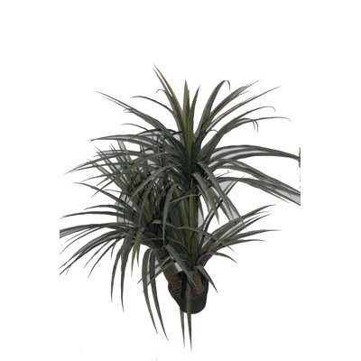 43.31'' Faux Palm Tree in Ceramic Pot