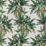 Palmeira - Verde