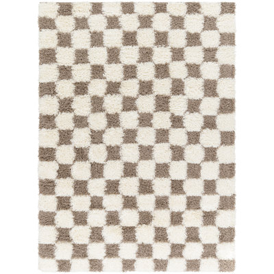 Haefner Checkered Indoor Rug
