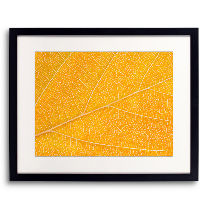 Autumn Leaf by Philippe Monthoux, Black Framed Paper, 16" H x 20" W