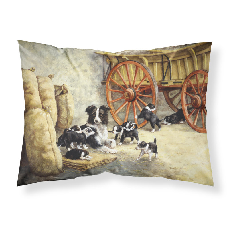 Border Collie Microfiber