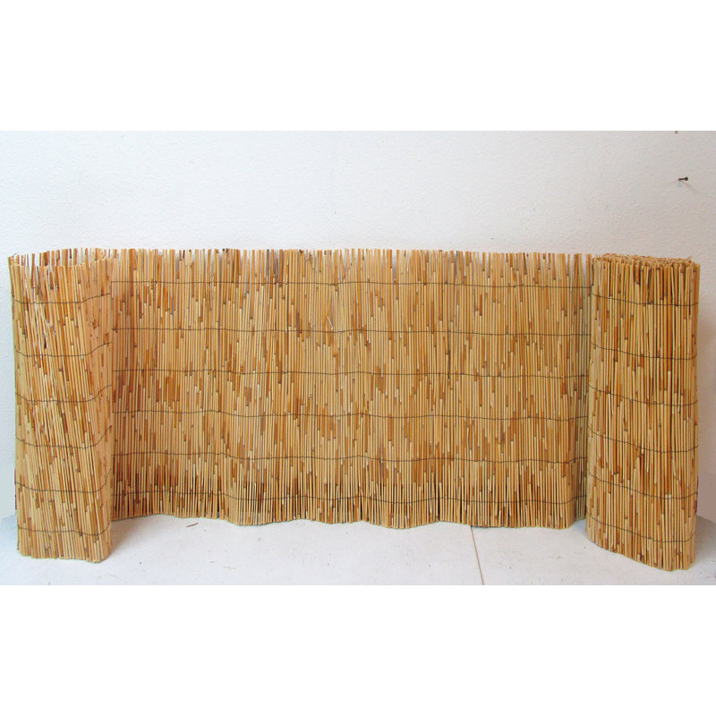 Panneau de clôture roulé en roseau naturel, H 24 po x l 168 po x P 0,25 po