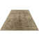 Oriental Indoor Rug