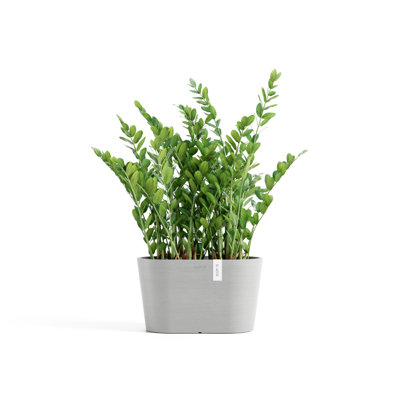 Pot Planter
