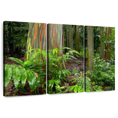 Harnek Hana Rainbow Trees